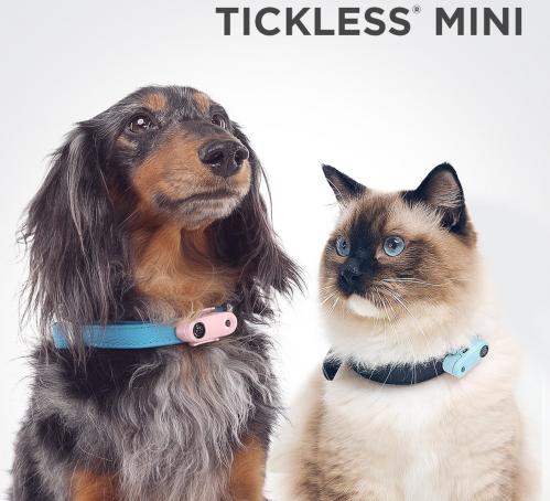 Tickless Mini Black Cat