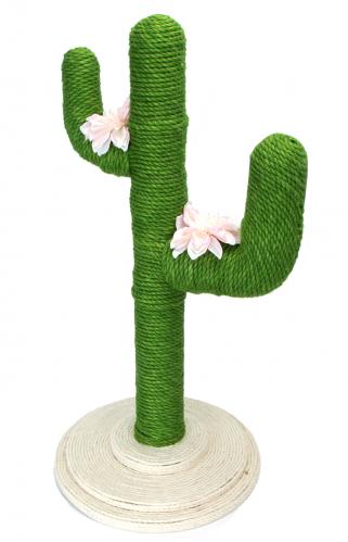 Klösträd Cactus grön med blommor