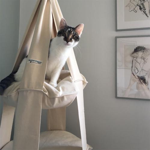 The Cat's Trapeze naturvit bomull - 2 våningar