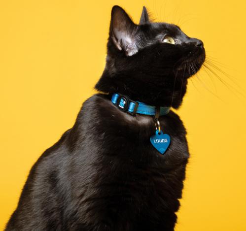 Memopet Katt smart halsband