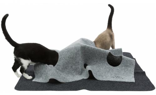 Cat Activity Adventure Carpet