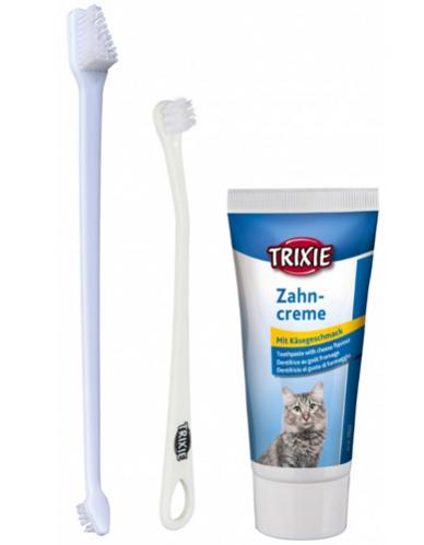 Tandvårds set för katt