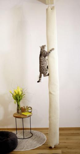 Cat scratching climber