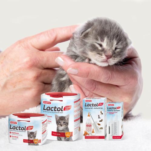 Beaphar Lactol mjölkersättning kattungar
