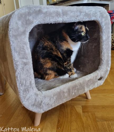 Kattmöbel Alicia bokträben - rabatterat ex