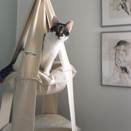 The Cat's Trapeze naturvit bomull - 3 våningar