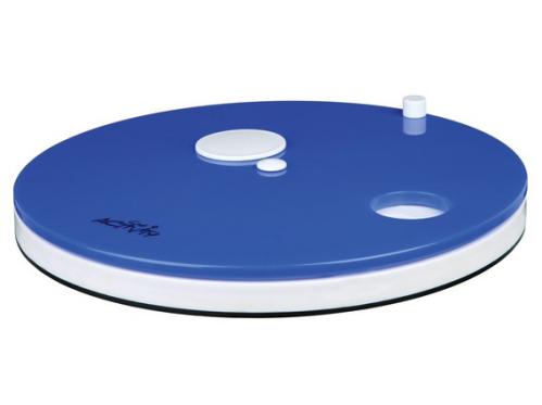 Cat Activity Roulette Kattspel