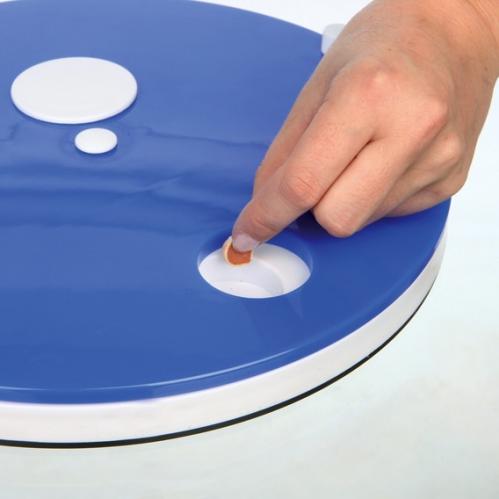 Cat Activity Roulette Kattspel