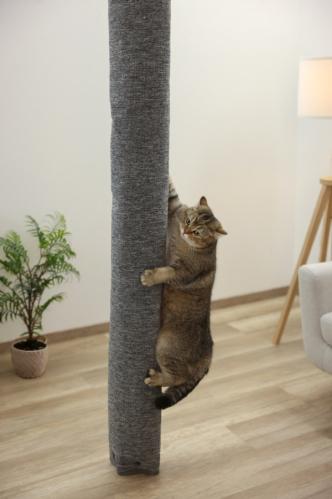 Cat scratching climber Carpet