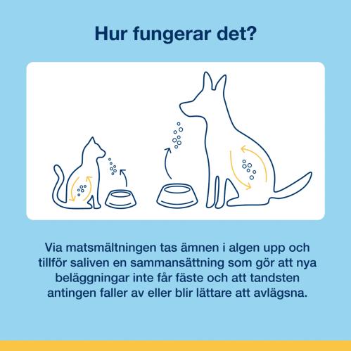 ProDen PlaqueOff® Soft Chews - Katt