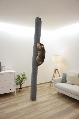 Cat scratching climber Carpet
