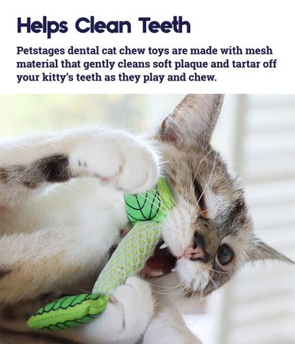 Petstages Freshbreath Mintstick