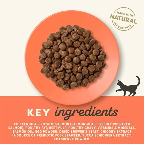 Torrfoder katt Applaws adult chicken & salmon ingredienser