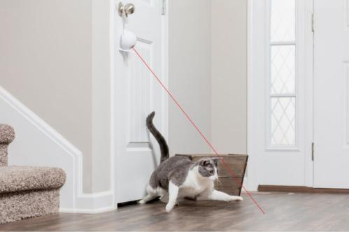 Dancing Dot Laser Cat Toy