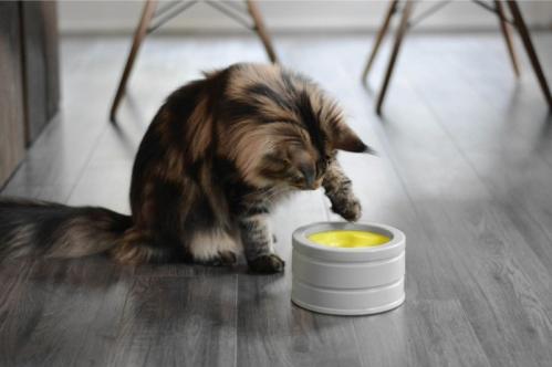 IntelliKatt aktiveringsmatskål BeOneBreed