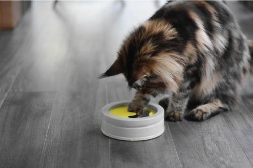 IntelliKatt aktiveringsmatskål BeOneBreed