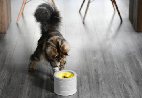 IntelliKatt aktiveringsmatskål BeOneBreed