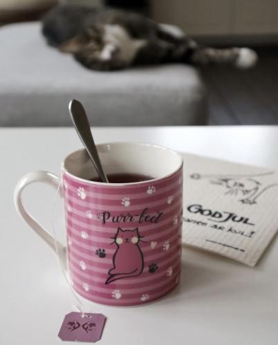 TeMugg Crazy Cat Lady / Purrfect