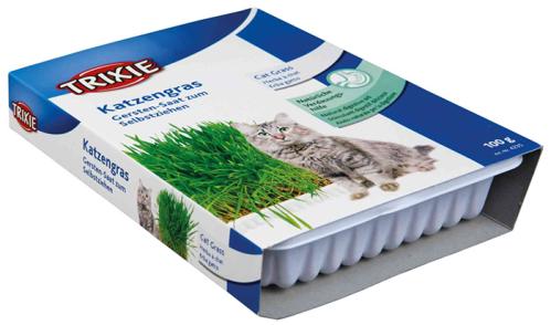 Kattgräs 100 g odlingskit