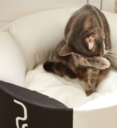 Oti modern catbed