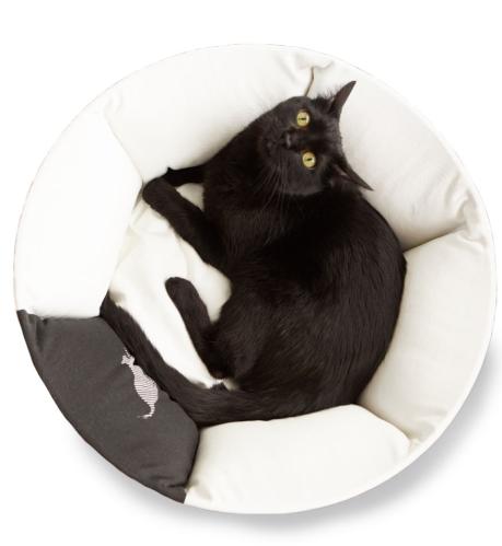 Oti modern catbed