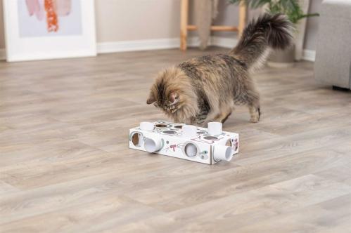 Cat Activity Paws'n'Treats Box