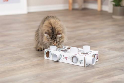 Cat Activity Paws'n'Treats Box