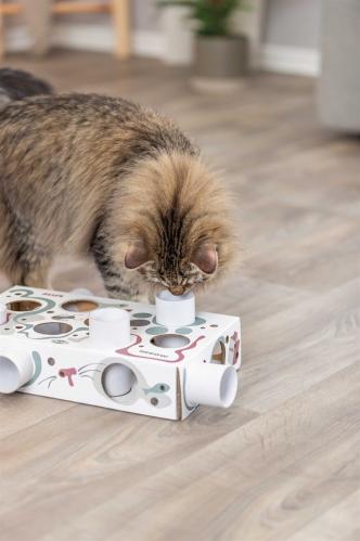 Cat Activity Paws'n'Treats Box