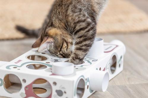 Cat Activity Paws'n'Treats Box