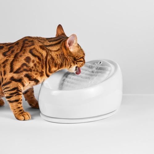 Lucky-Kitty keramik vattenfontän vit