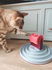 Cat Activity Roller Bowl