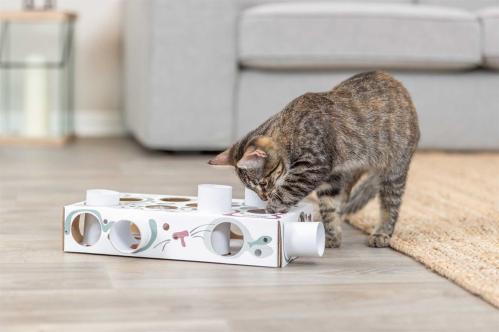 Cat Activity Paws'n'Treats Box