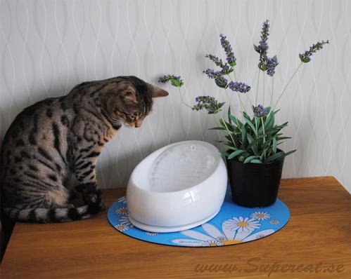 Lucky-Kitty keramik vattenfontän vit - rabatterat ex.
