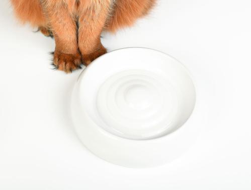 Lucky-Kitty kattmatskål keramik Medium