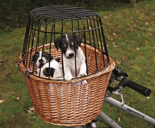 Cykelkorg i vide för hund och katt