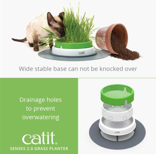 Odla ditt kattgräs CatIt Grass Planter