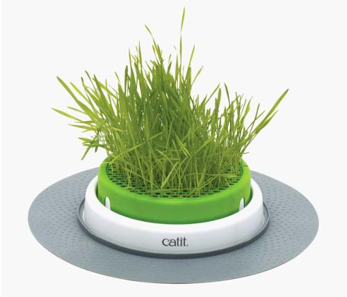 Kattgräs CatIt Senses 2.0 Grass Planter