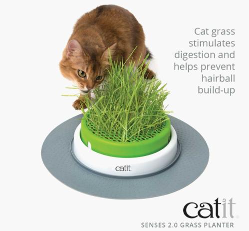 Kruka för kattgräs CatIt Grass Planter
