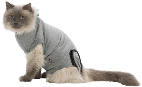 Body till katt, efter operation