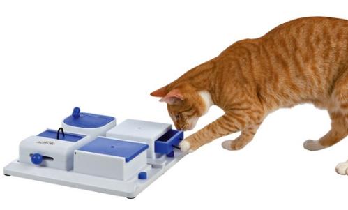 Cat activity Pokerbox