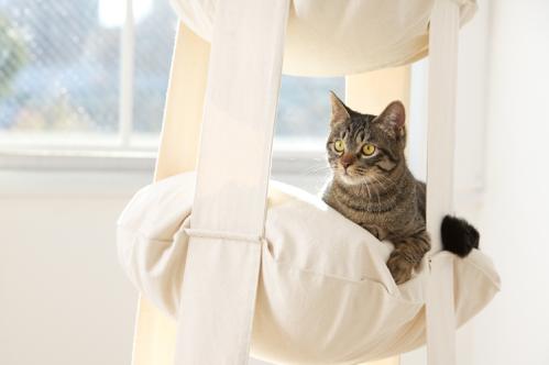 The Cat's Trapeze vit jute - 3 våningar