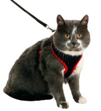 Original Harness Svart med röd söm