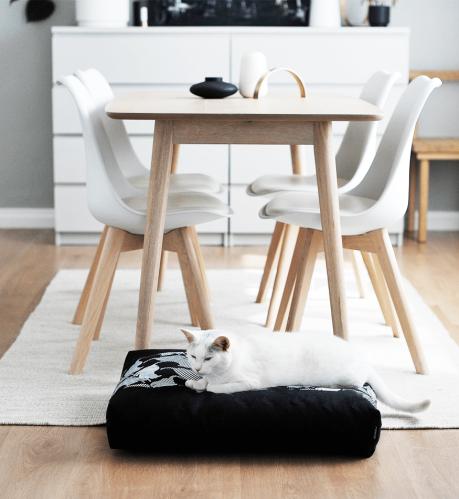 PADI modern catbed svart