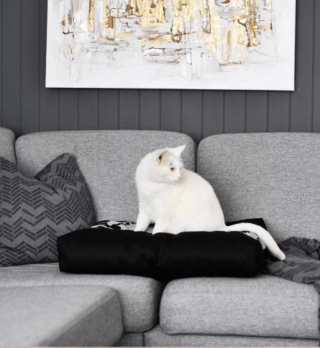 PADI modern catbed svart