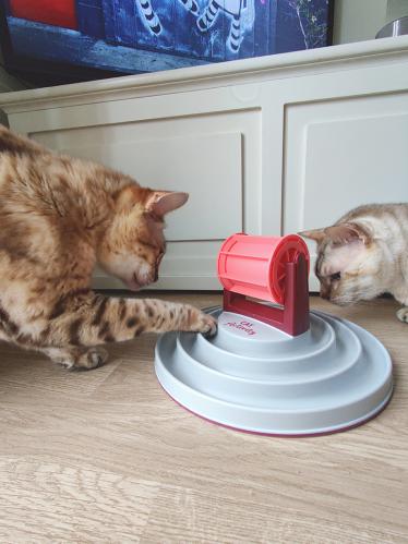 Cat Activity Roller Bowl