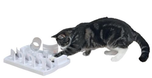Cat Activity Domino add-on