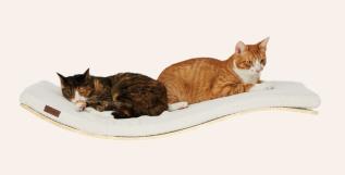 Cosy and Dozy DELUXE Maple Soft white