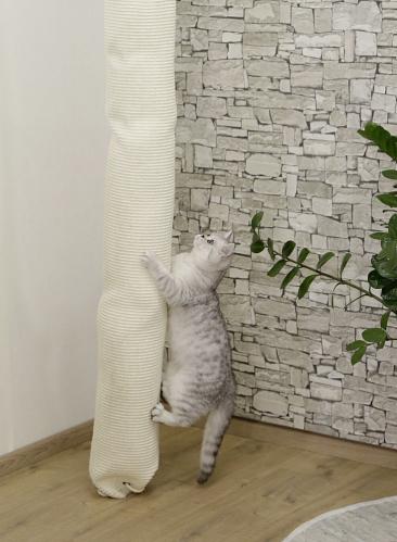 Cat scratching climber