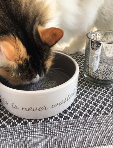 Keramikskål stor Pets-Home choklad