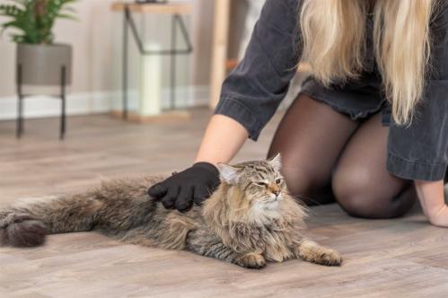 Pälsvårdshandske för katt- & hundpäls